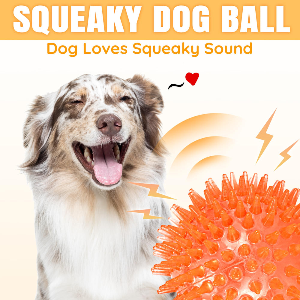 LECHONG dog balls ideal for yard park and beach play