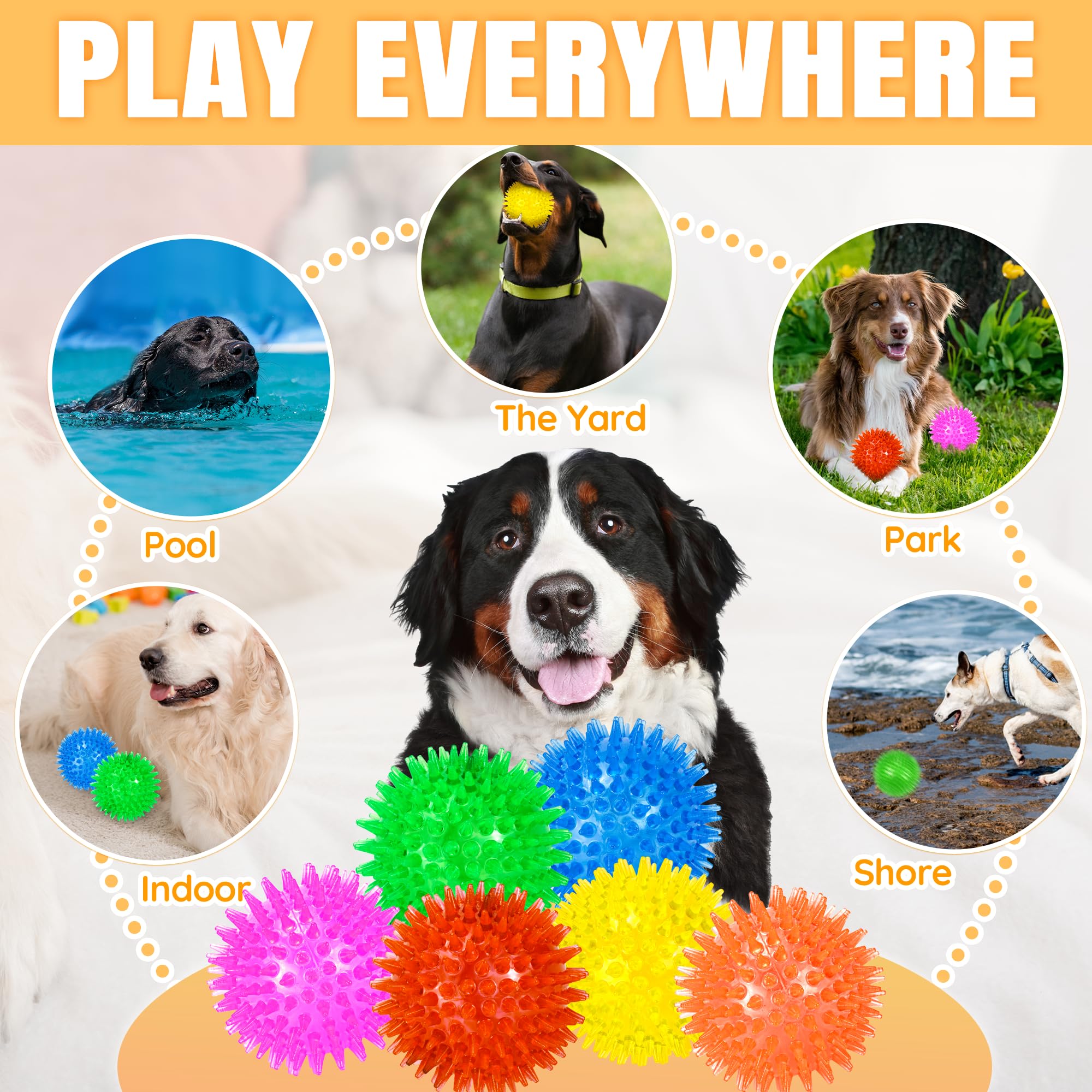 LECHONG dog balls safety tips and supervised use guidance