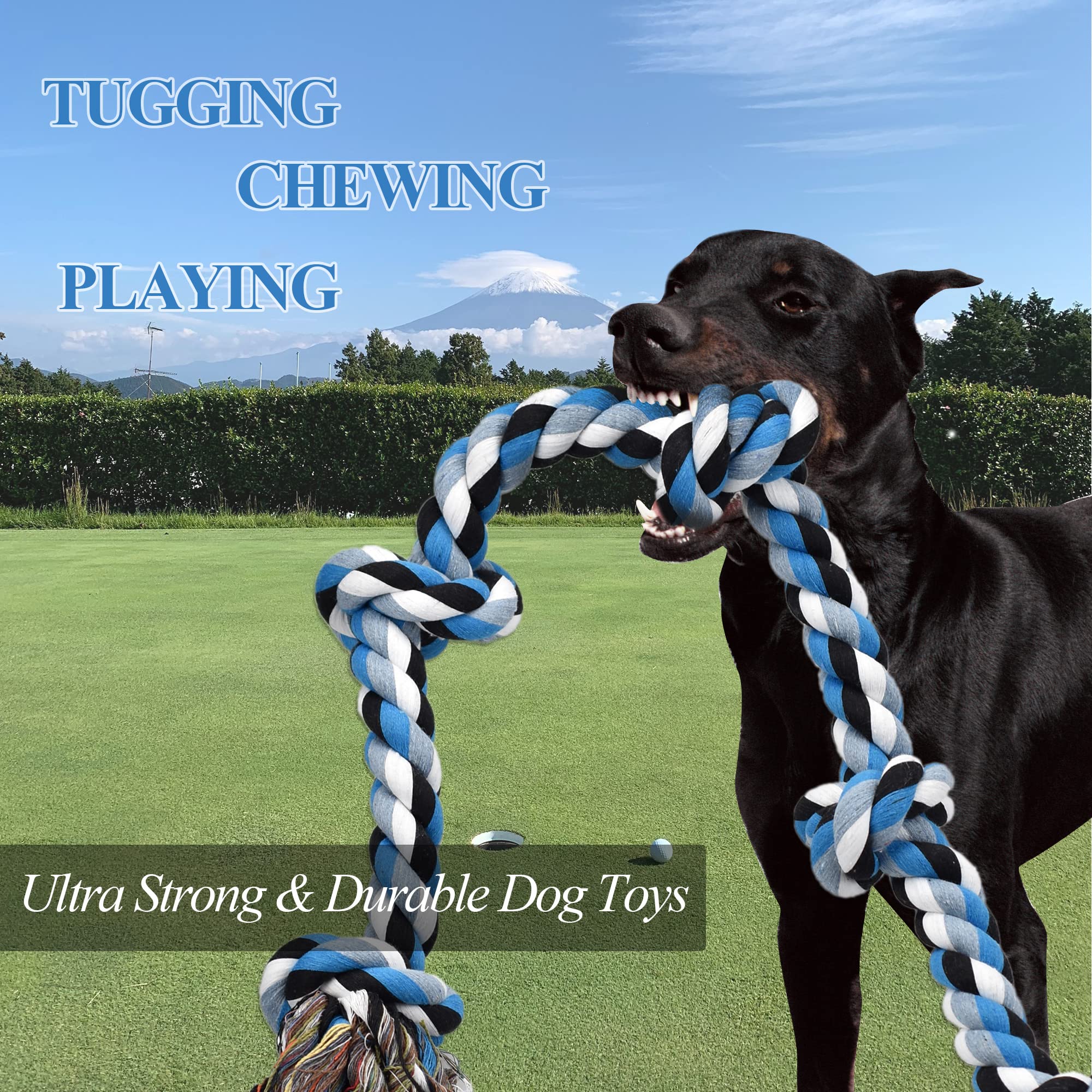LECHONG dog toy for aggressive chewers withstands sturdy chewing routines