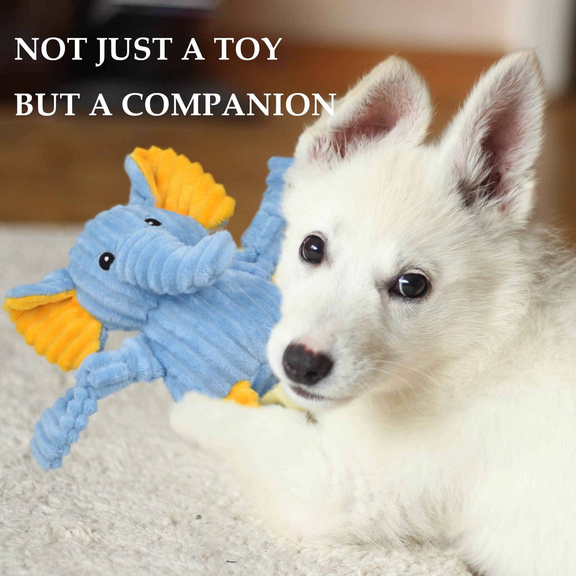 LECHONG five-pack variety set highlights value-driven play with different textures and shapes.