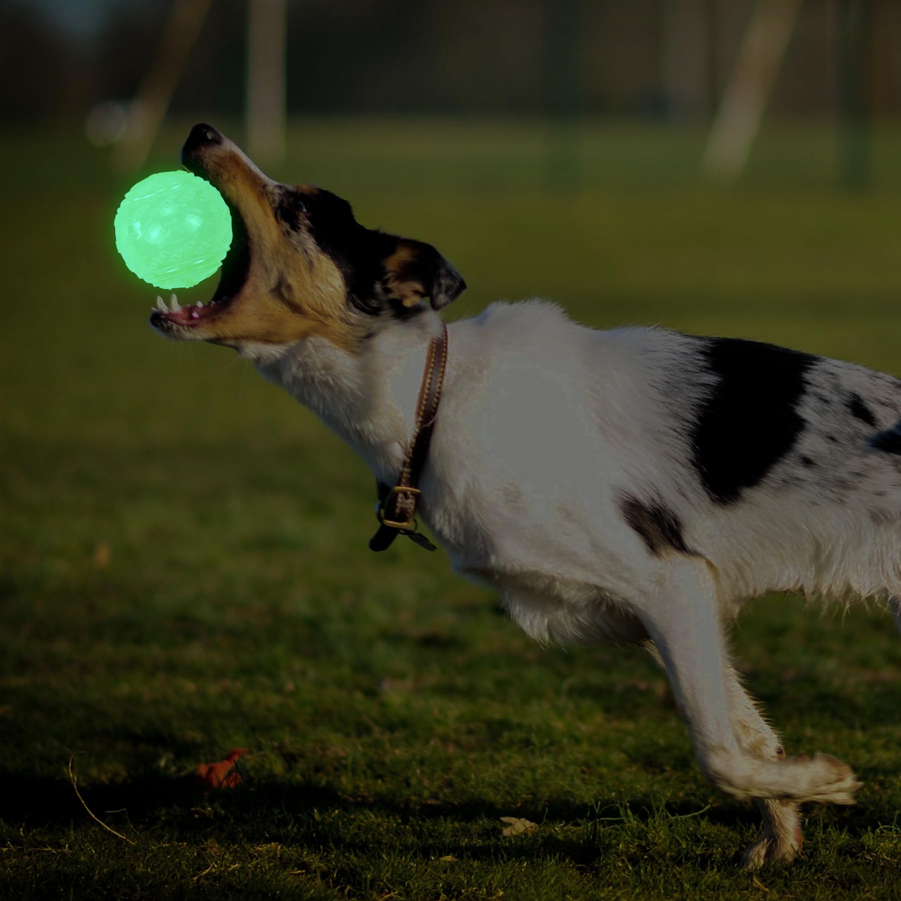 LECHONG glow balls are suitable for supervised play in yard or park.