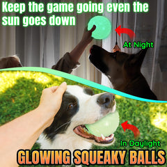 LECHONG glow dog ball 3.5-inch size for large breeds