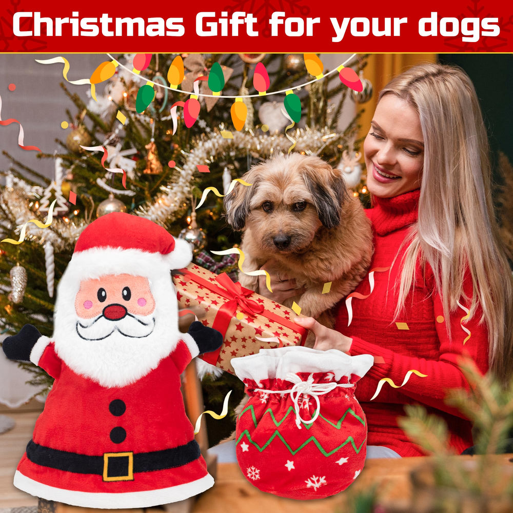 LECHONG Santa toy packaged as a festive gift for dogs