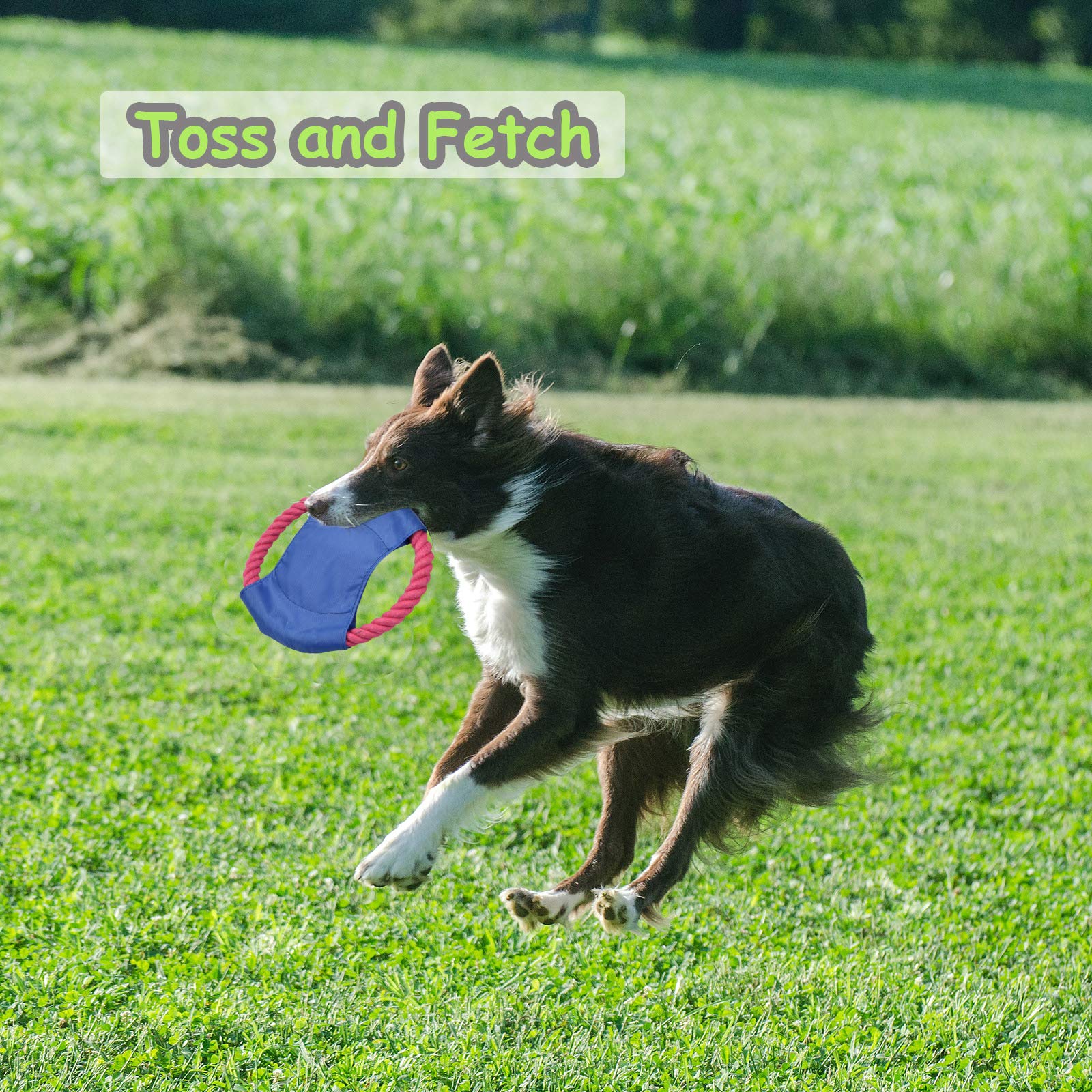 LECHONG toss and fetch ball rope toy for active bonding and play
