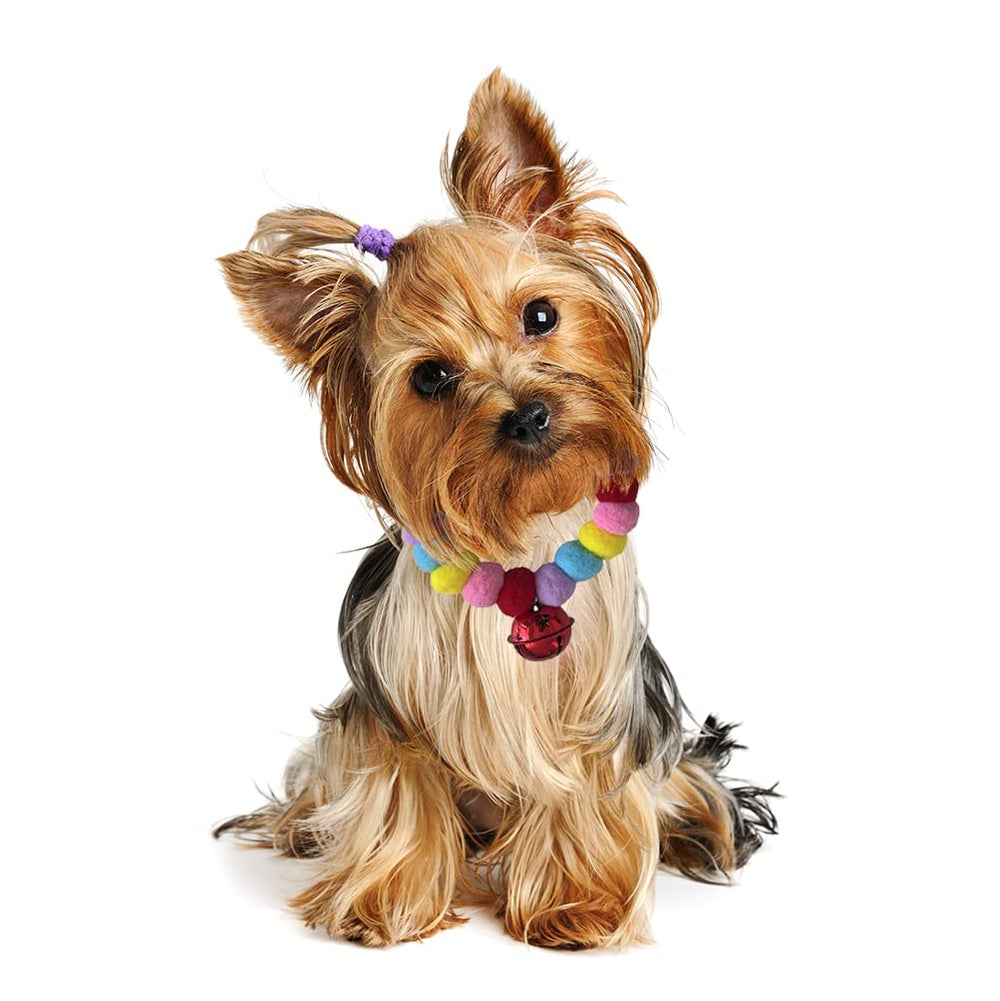 Leconpet pom pom dog collar on dog during walk showcasing easy on elastic fit.