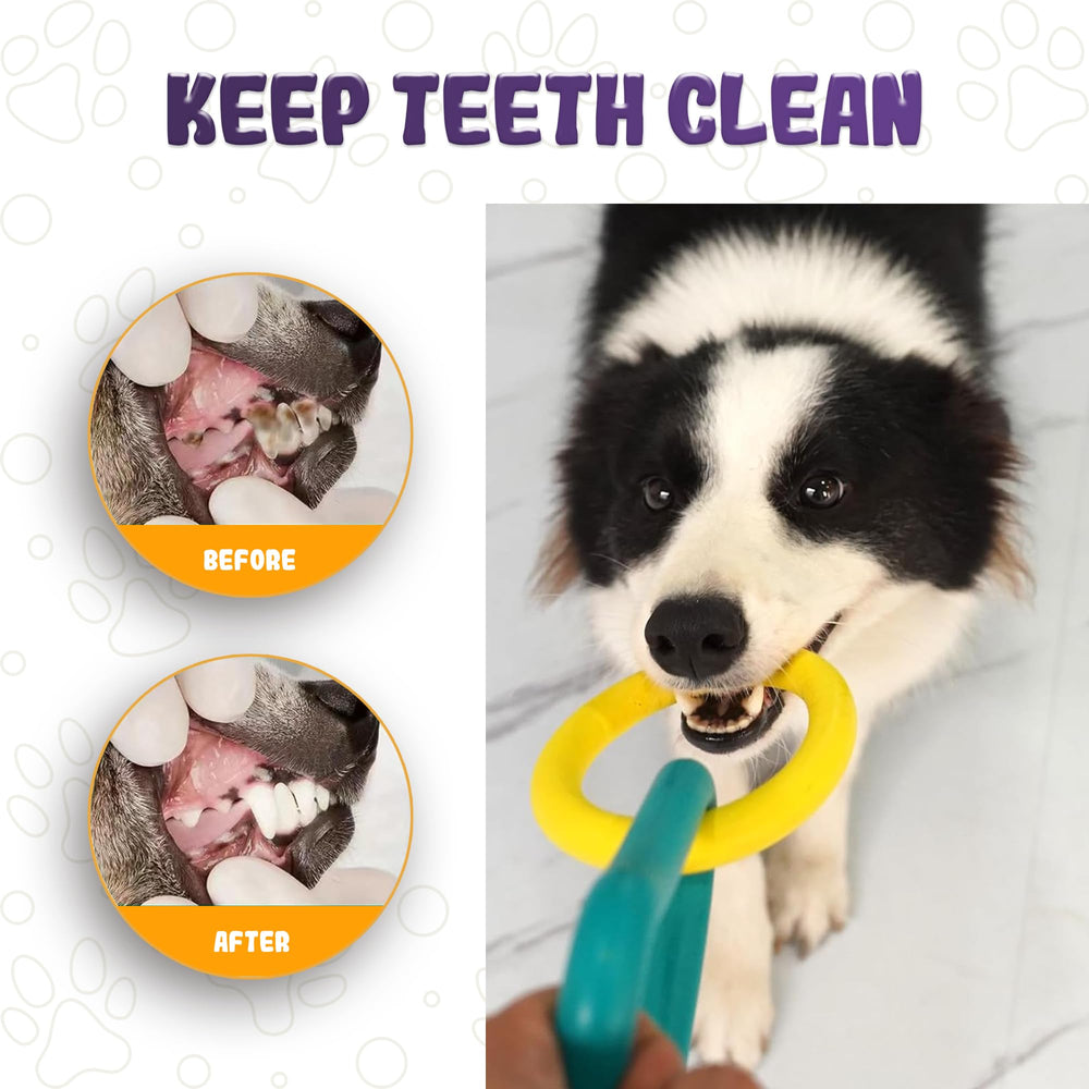 LEE BONBON Tug of War Dog Toy heavy chewer durability emphasizes thick rope and resilient design.