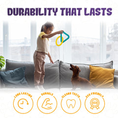 LEE BONBON Tug of War Dog Toy outdoor fetch session shows rugged play for strong breeds.