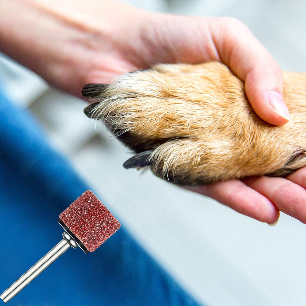 Leelosp claw care kit components laid out for convenient home grooming.