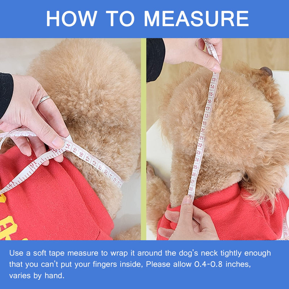 Leeper soft cone worn on a dog shows easy adjustability and secure fit.