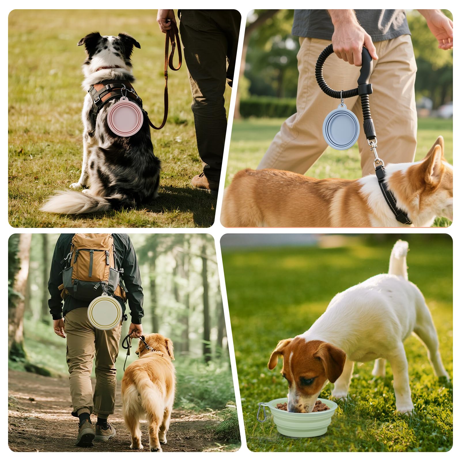 LeeRound dishwasher-safe dog bowl for quick cleanup after outings