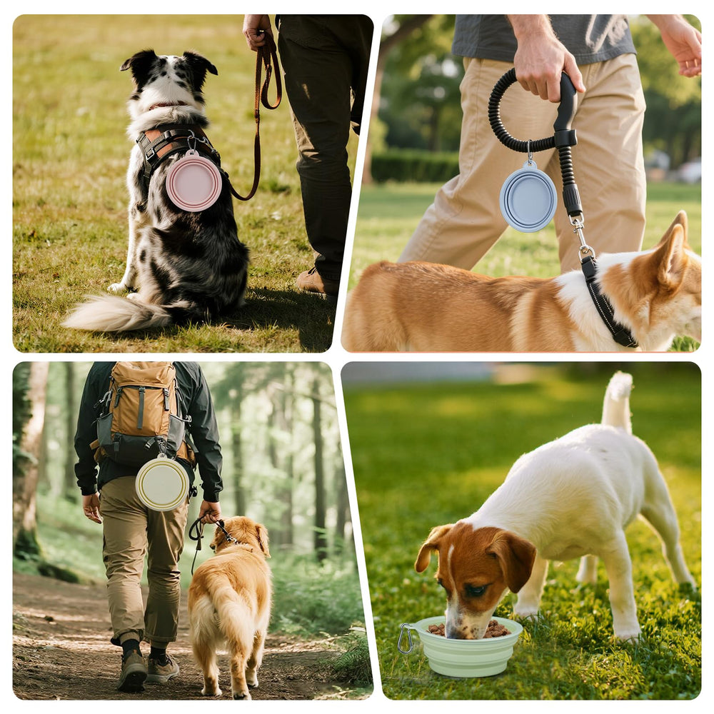 LeeRound dishwasher-safe dog bowl for quick cleanup after outings