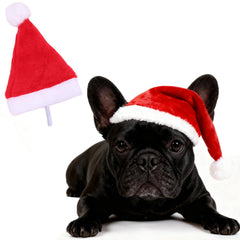 Leewjed dog christmas santa hat worn on a dog enhances festive charm.