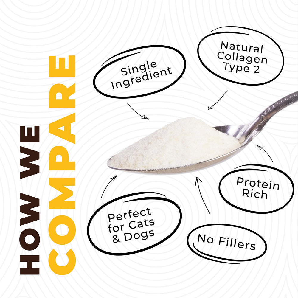 Left Coast Performance broth for joints—potential support for active pets.