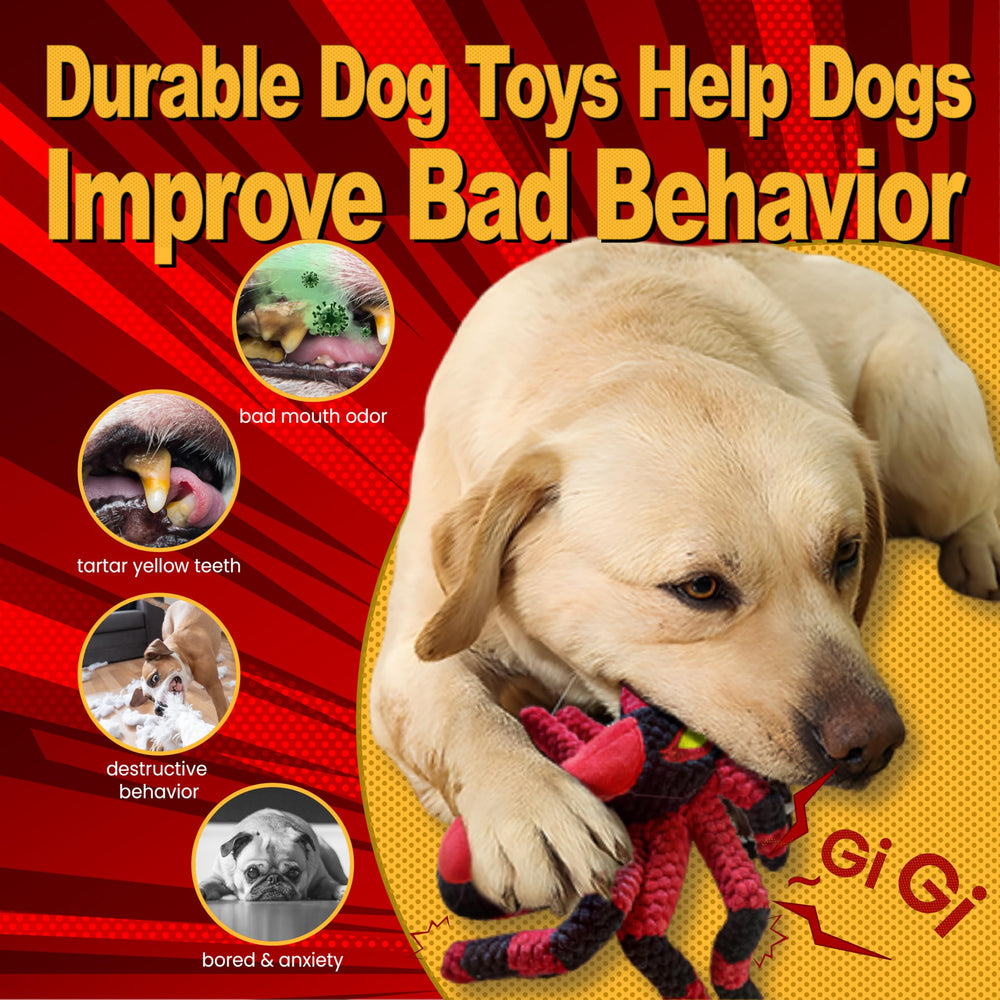 Legend Sandy double-stitched durable dog toy built to last