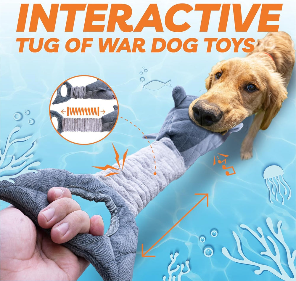 Legend Sandy interactive fetch tug dog toy supports solo or partner play.