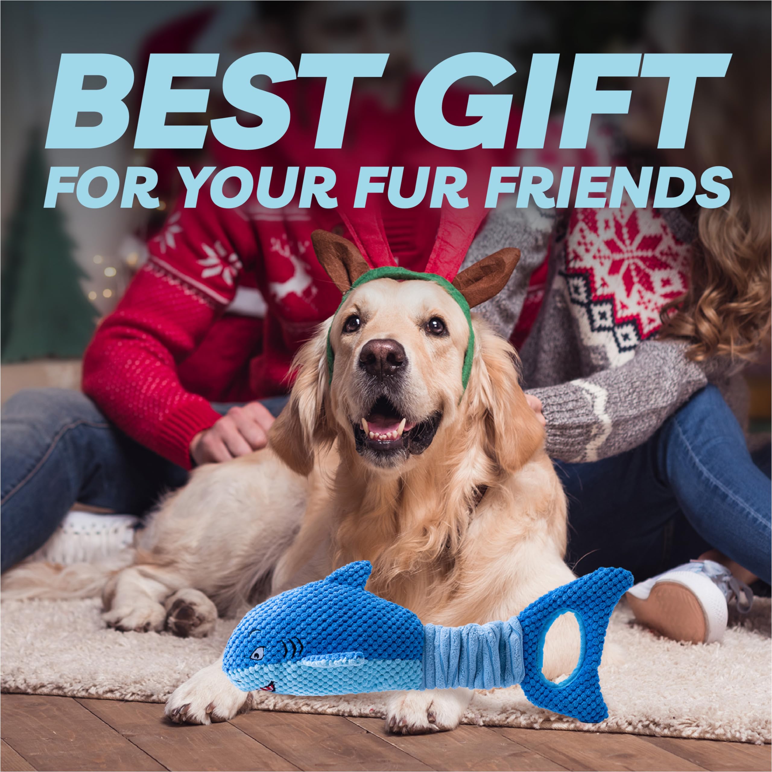 LEGEND SANDY large-breed dog toy serves as a versatile birthday or holiday gift.