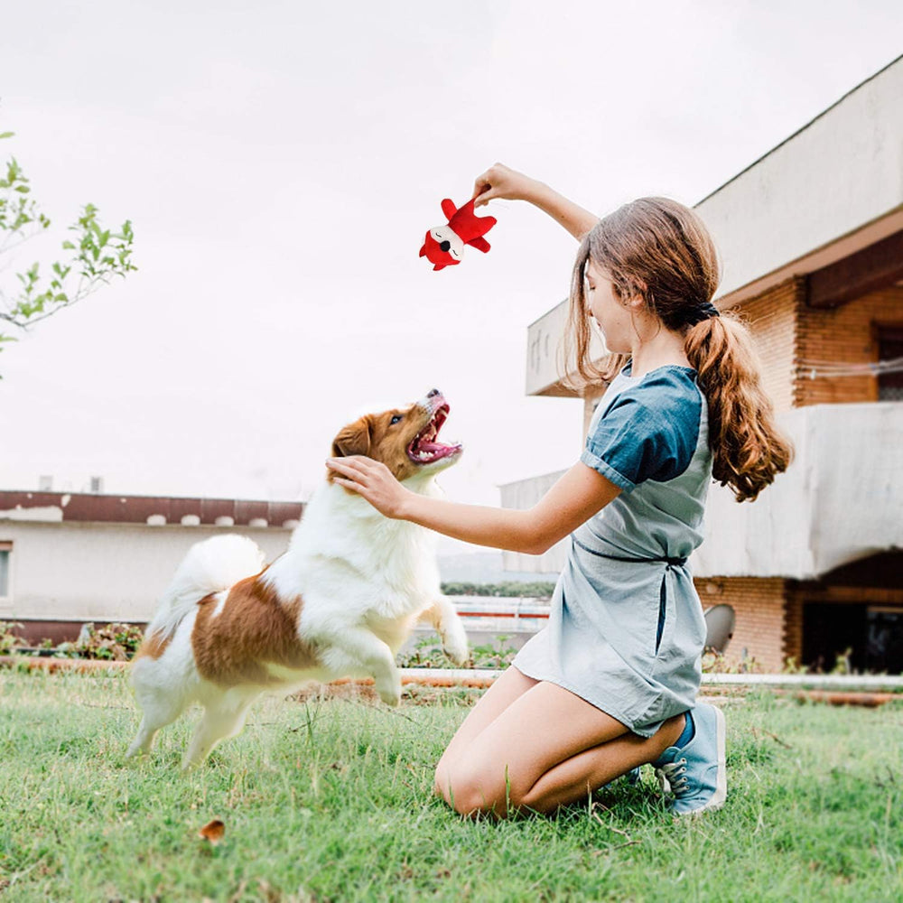 LEGEND SANDY octopus toy encourages interactive paw-and-toy engagement