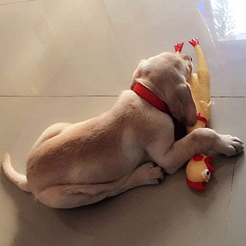 LEGEND SANDY Screaming Chicken dog toy yellow pack back shows three-pack value option.