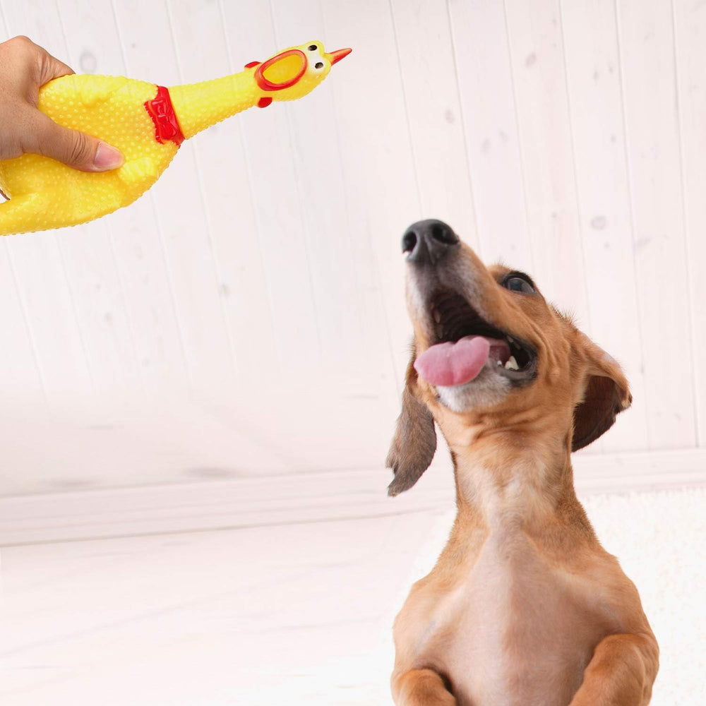 LEGEND SANDY Screaming Chicken dog toy yellow texture close-up emphasizes non-toxic, lead-free paint.