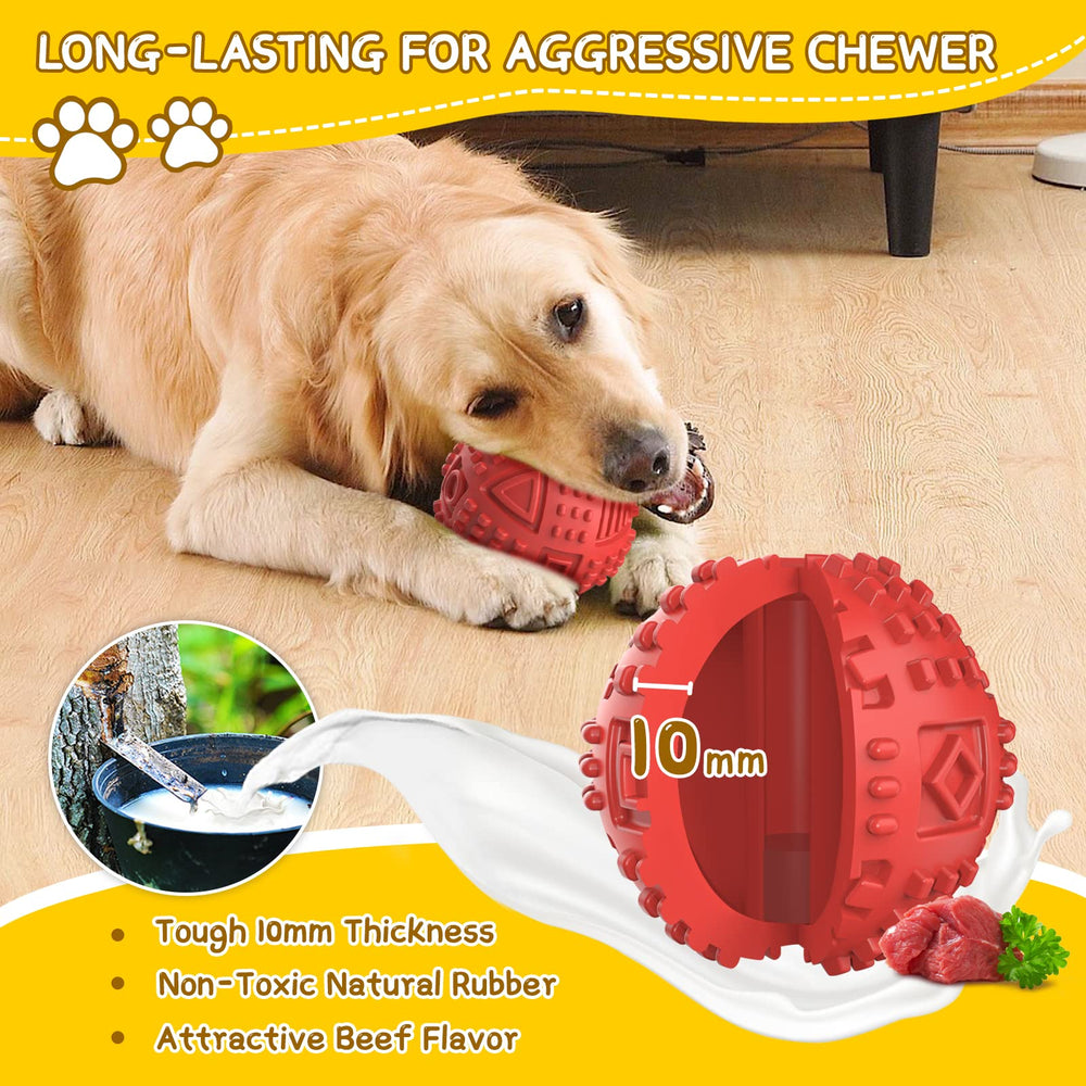 LEGEND SANDY Squeaky ball in use adds interactive motivation during play.