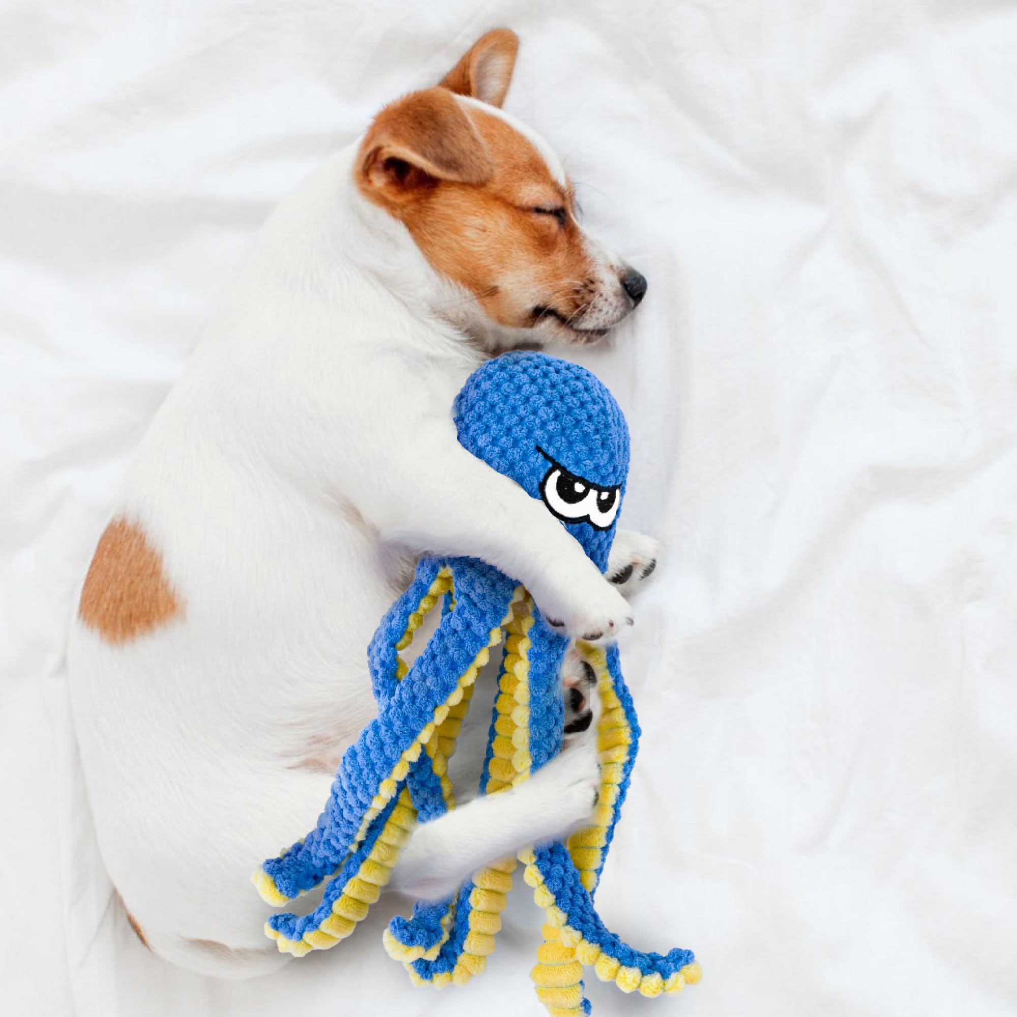 Legend Sandy multi-dog friendly pack shows suitability across sizes