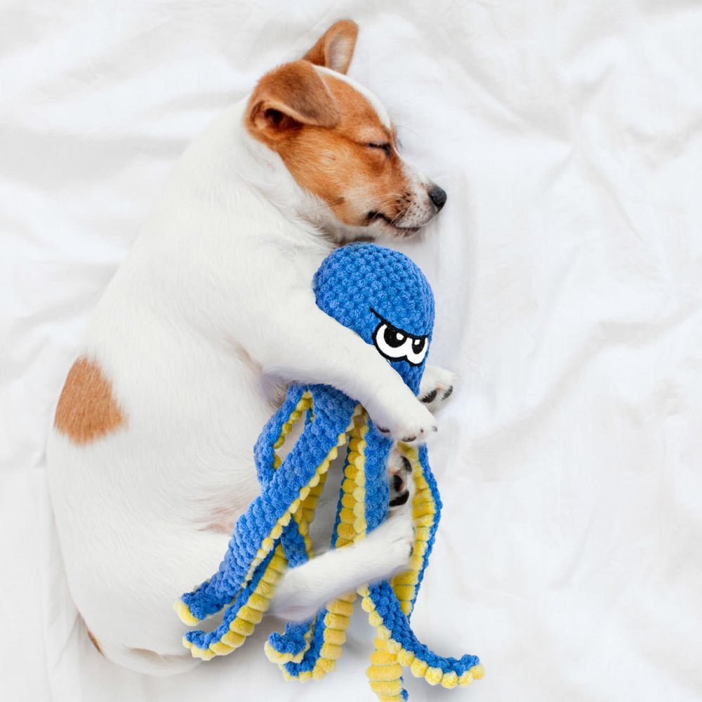 Legend Sandy multi-dog friendly pack shows suitability across sizes