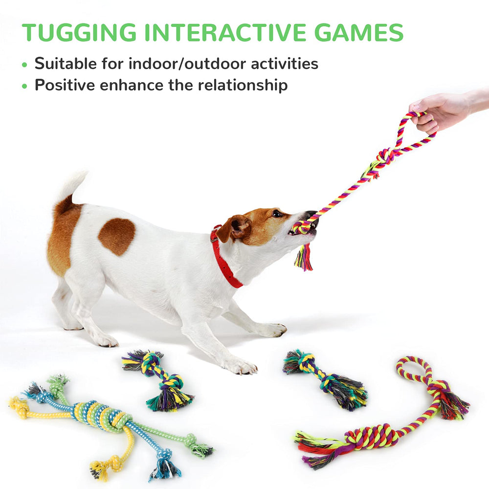 LEGEND SANDY squeaky hedgehog toy delivers comforting sound and soft textures