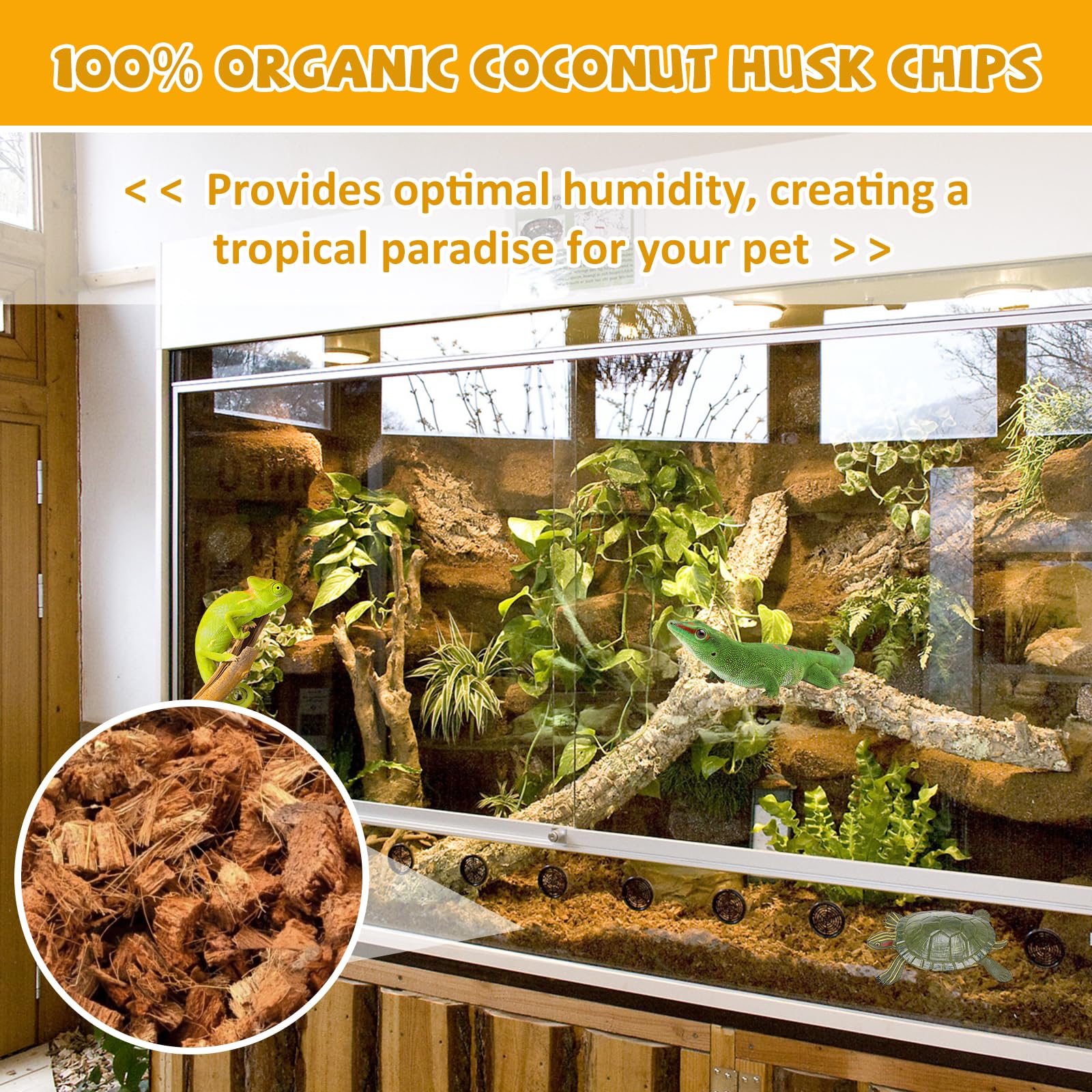 Legigo coconut chip substrate maintaining humidity to emulate tropical environments.