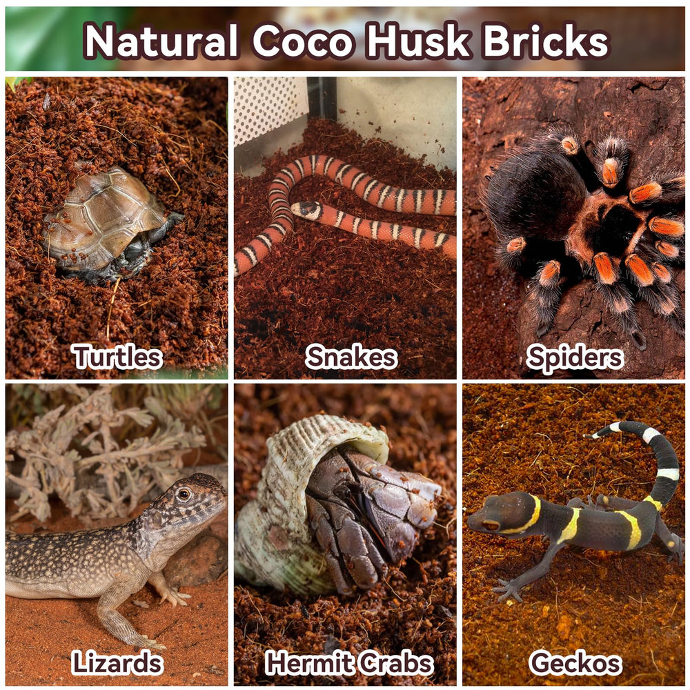 Legigo substrate humid environment visual for moisture retention and safe burrowing