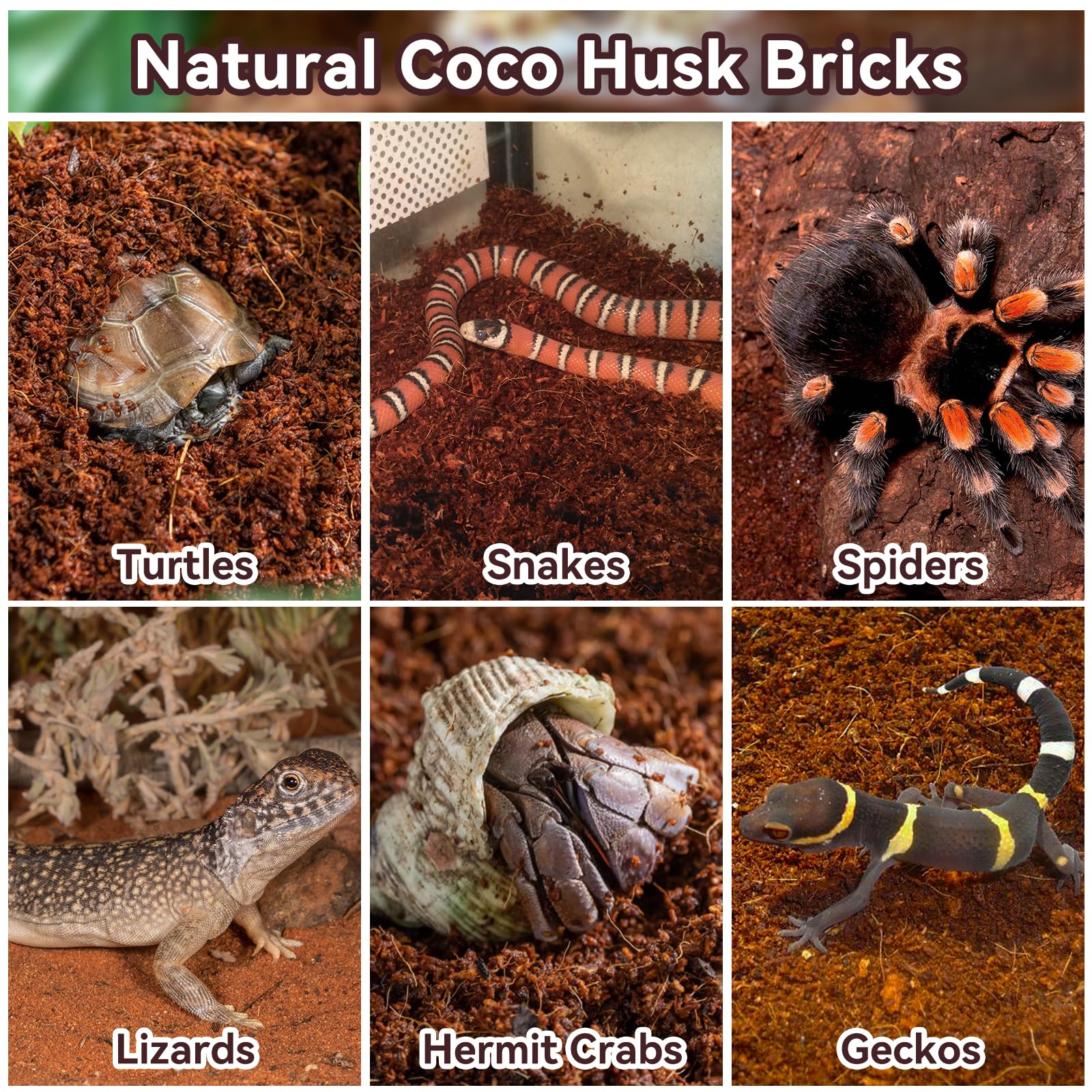 Legigo coconut fiber substrate-multi-animals is suitable for snakes, frogs, and lizards.