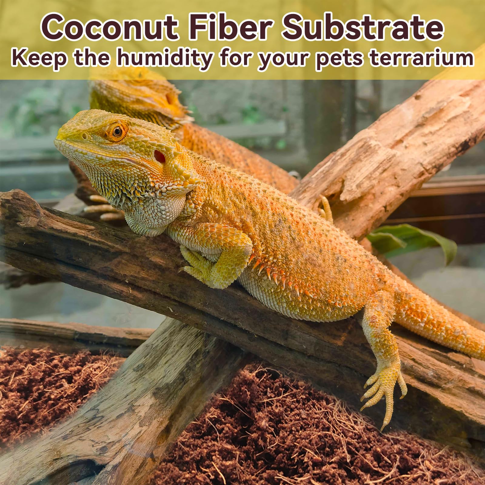 Legigo coconut substrate in terrarium with plants highlighting multi-use soil additive