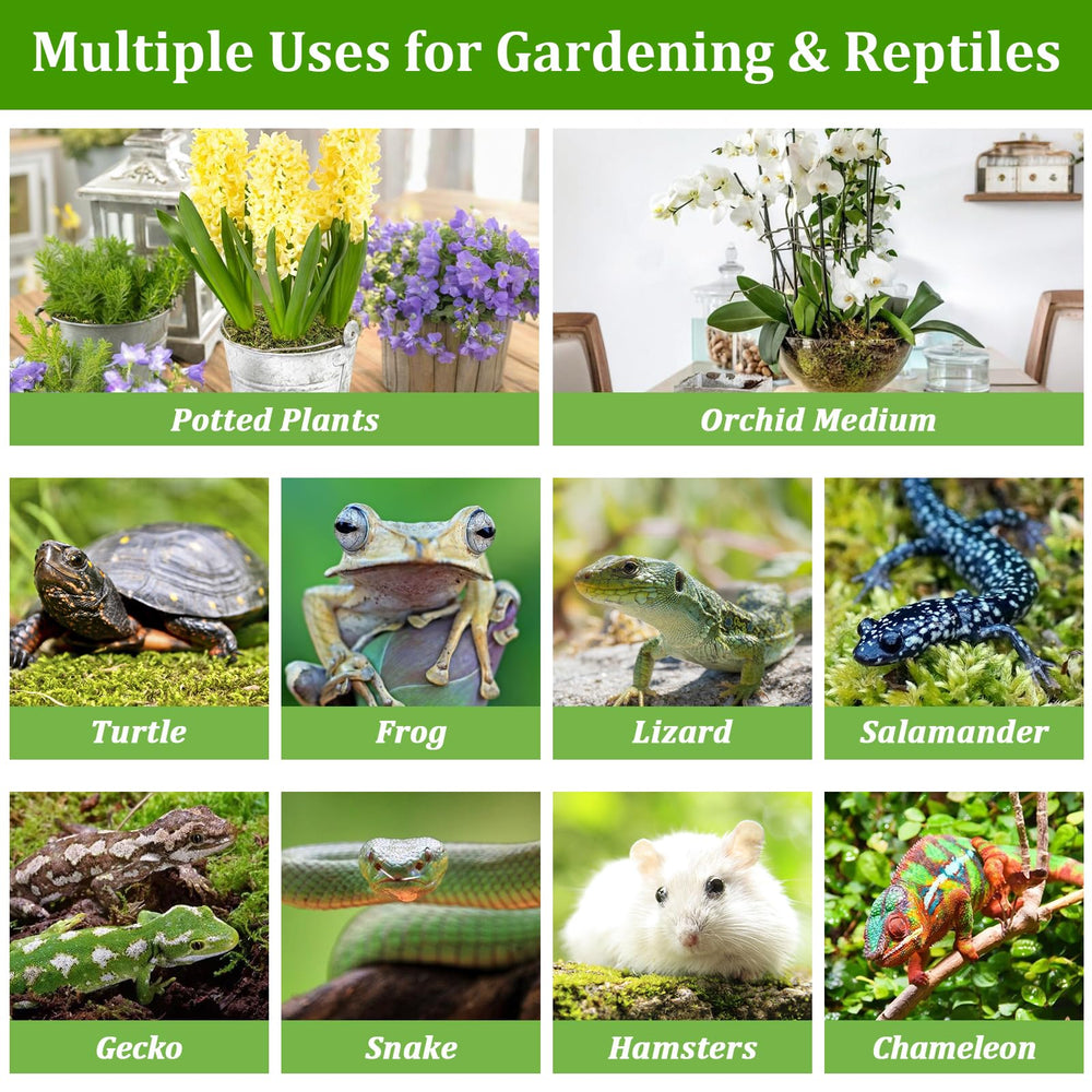 Legigo moss soak-and-use process for simple moisture-ready bedding.
