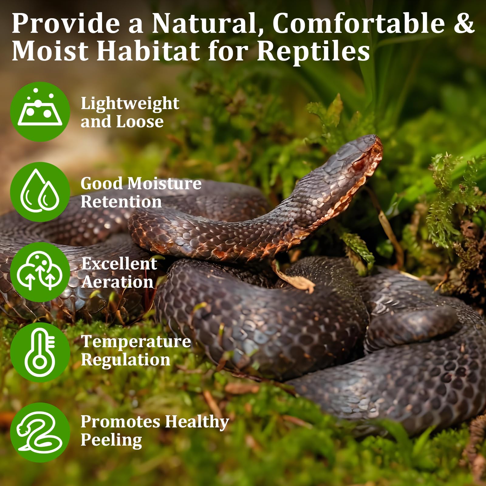 Legigo reptile terrarium moss setup illustrating humidity-friendly bedding.