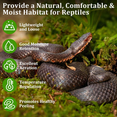 Legigo reptile terrarium moss setup illustrating humidity-friendly bedding.