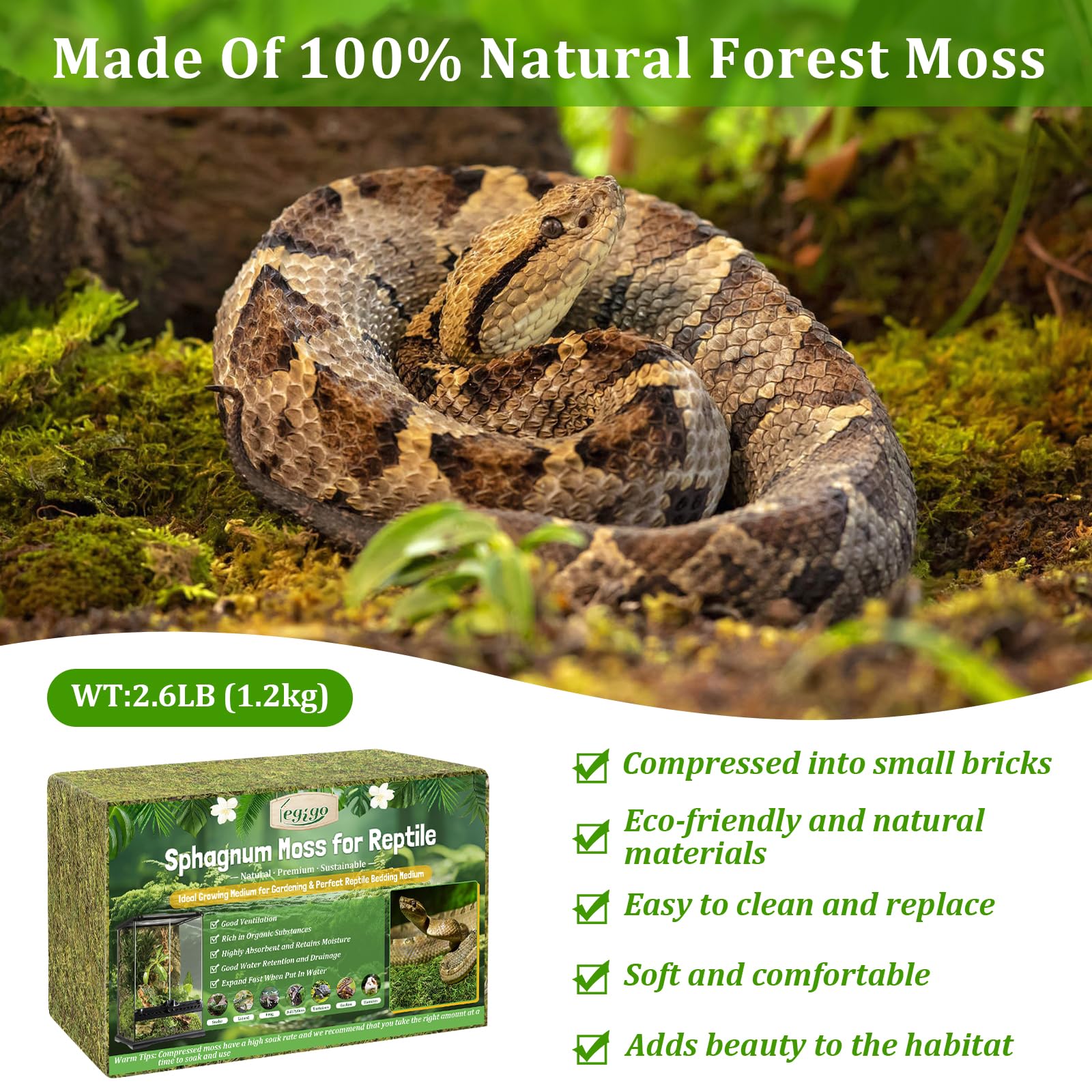 Legigo terrarium moss for humidity control keeps enclosure comfortable.