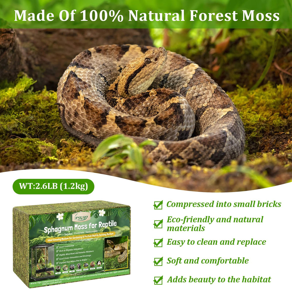 Legigo terrarium moss for humidity control keeps enclosure comfortable.
