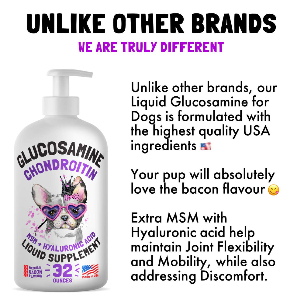 LEGITPET bacon-flavor glucosamine dog supplement served on food aids picky eaters.