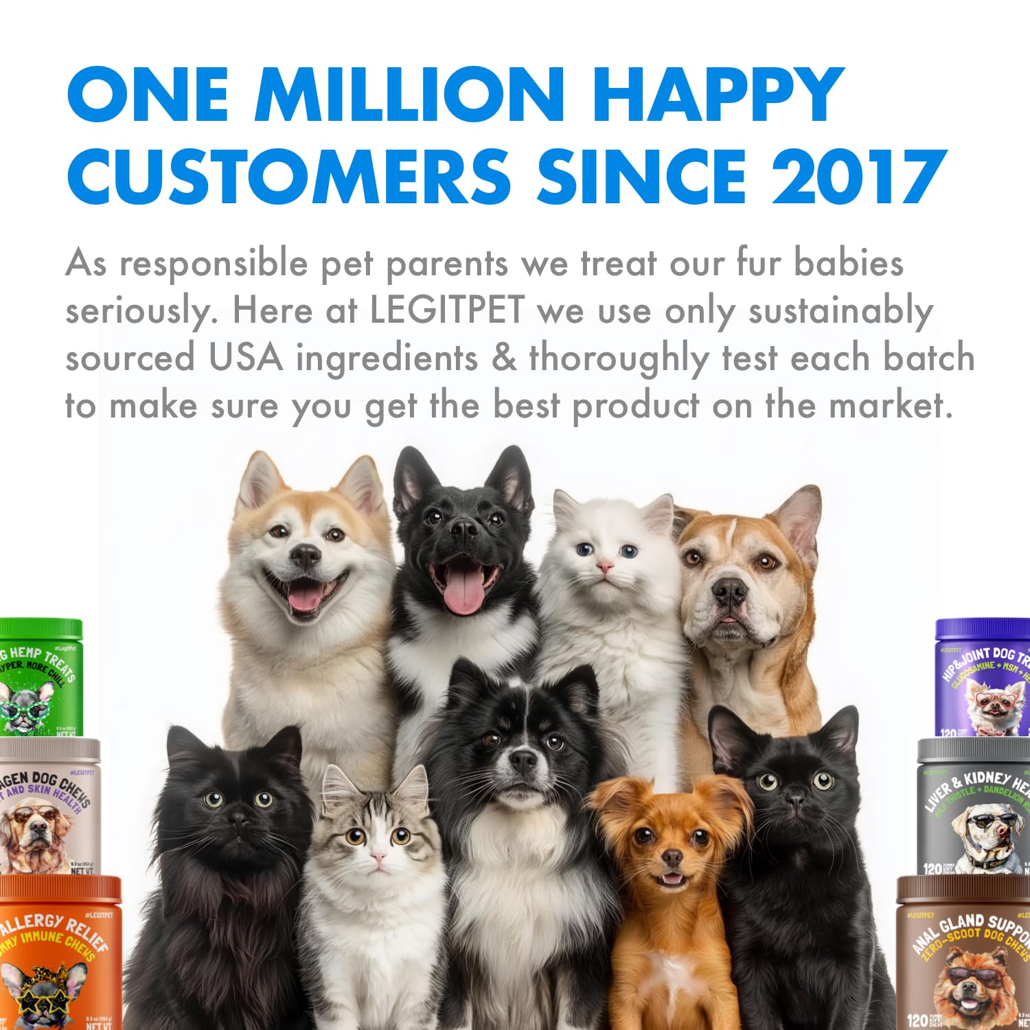 LEGITPET Indoor Cat Health Treats served on plate suggests comprehensive wellness