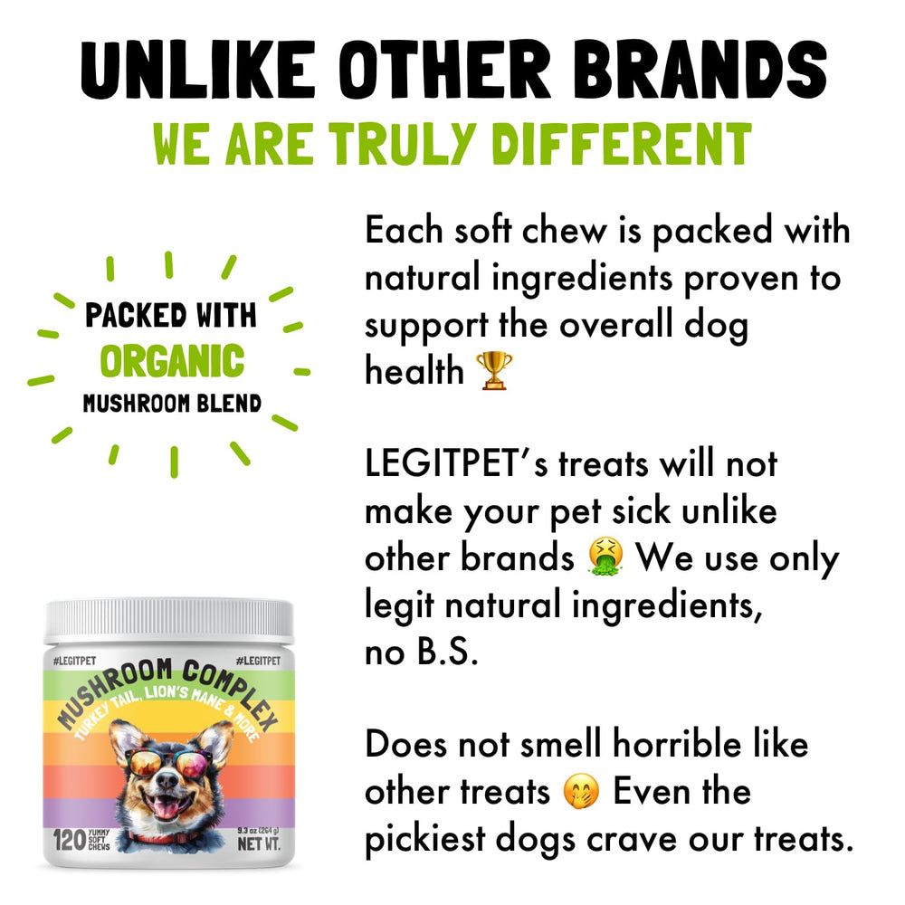LEGITPET Mushroom Complex Treats digestive health scene with balanced gut support.