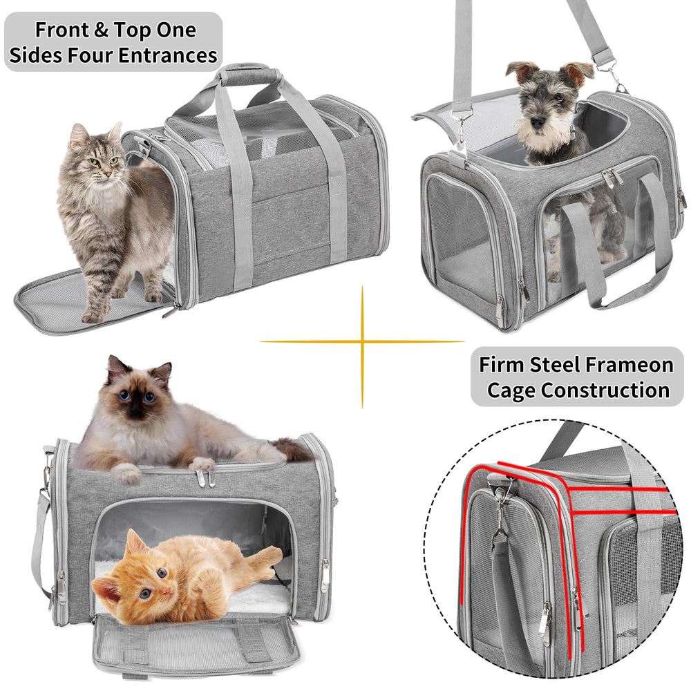 LEHNI soft-sided carrier removable-mat interior demonstrates washable comfort.