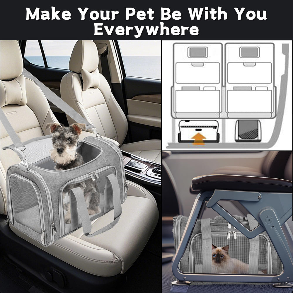 LEHNI under-seat compatible carrier ready for airline travel