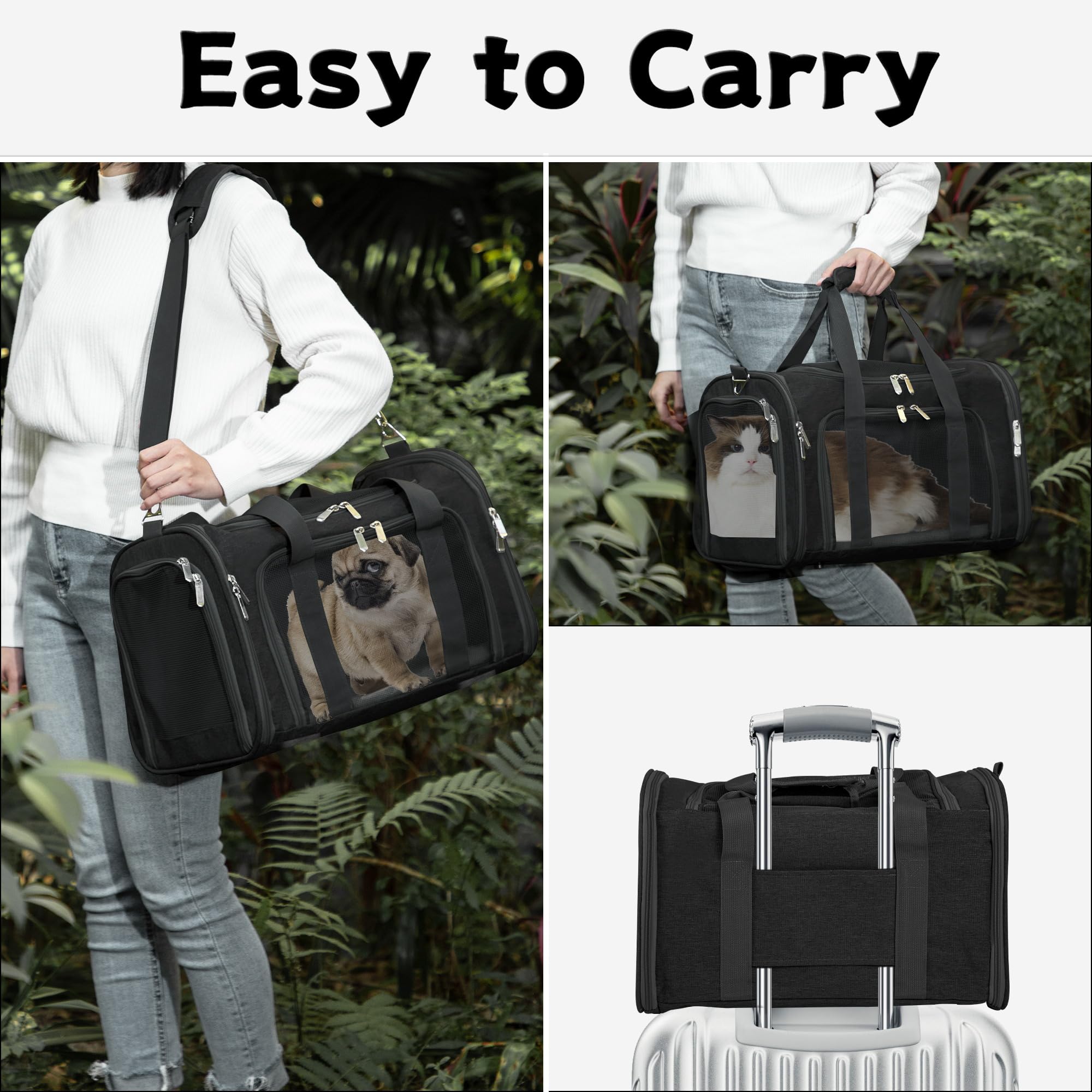 LEHNI folded-flat carrier shows compact storage and portability when not in use.