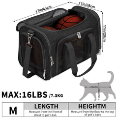 LEHNI pet carrier top view emphasizing collapsible structure and storage-friendly height.