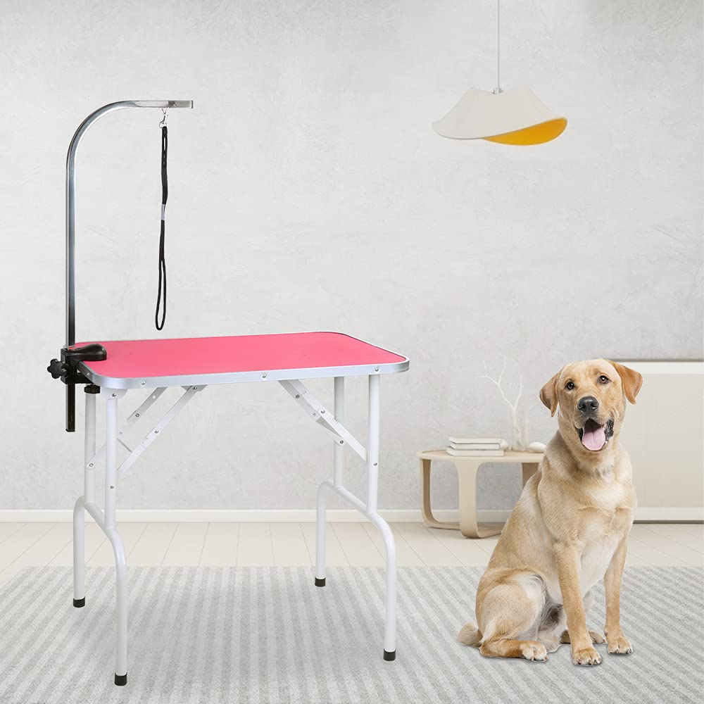 LEIBOU pink frame adds a friendly vibe to professional grooming setup