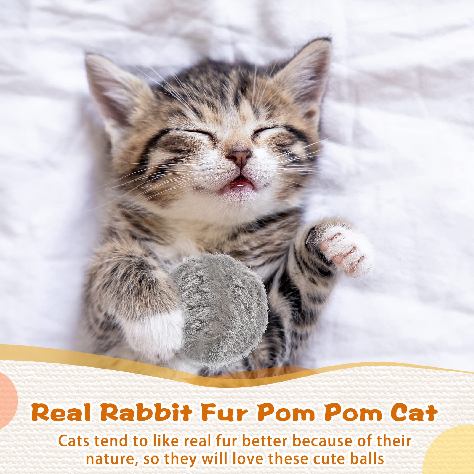 LEIFIDE 12-piece cat toy pack colors shown to maximize variety