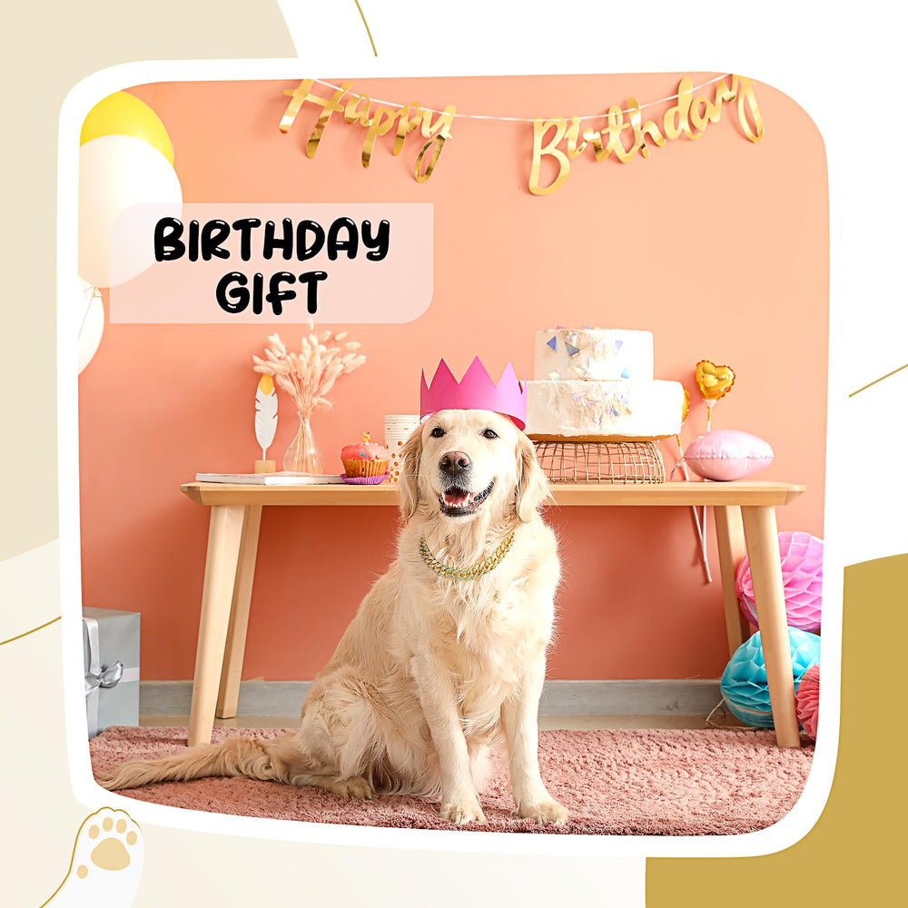 LEIFIDE pet collar in gold pairs with outfits for travels.