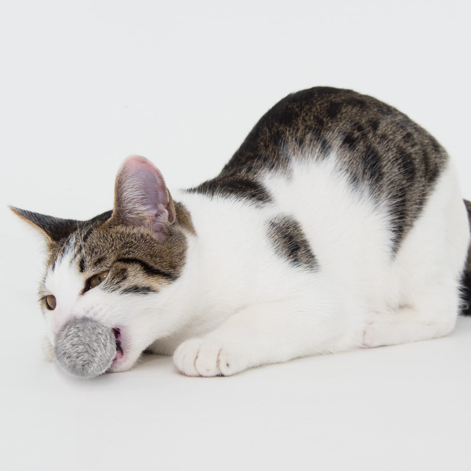 LEIFIDE pom pom balls packaging on display emphasizes gift-ready set