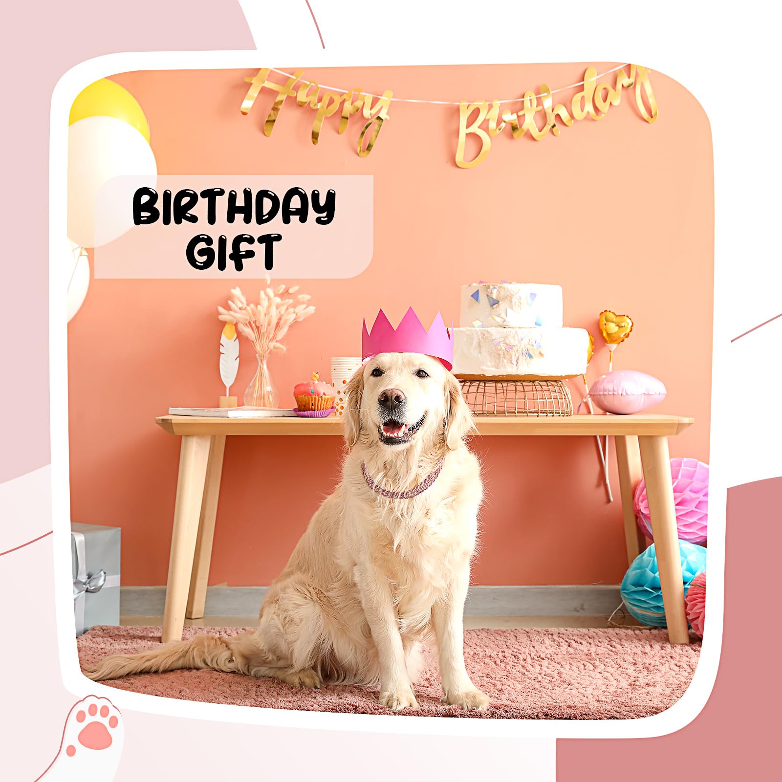 LEIFIDE small-pet travel collar with crystals for easy movement.