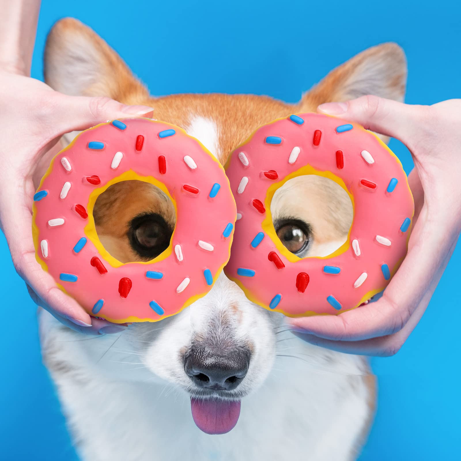 Leitee donut toy for puppies and aggressive chewers offers versatile play