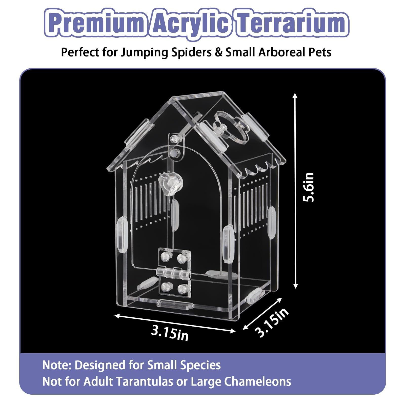 LEIZHENZI Jumping Spider Enclosure black option offers secure habitat in low light